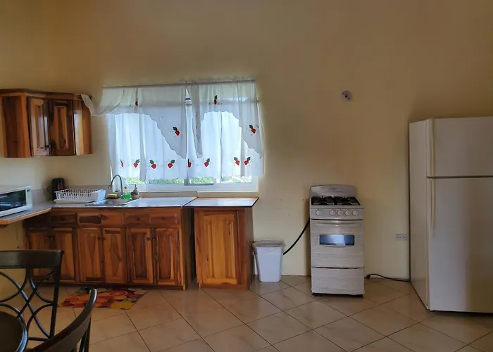Wizzy Apartment White River