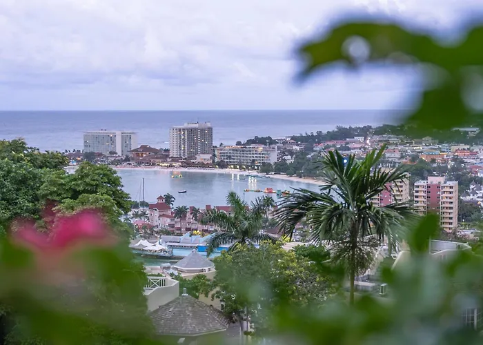 Hummingbird Retreat - Luxury Oceanview Apt, 7-Minute Walk To Beach